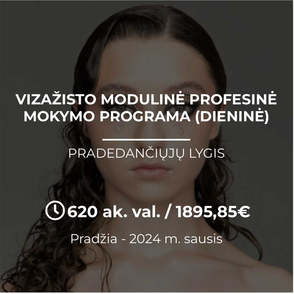 Viza Isto Modulin Profesin Mokymo Programa Grimo Akademija